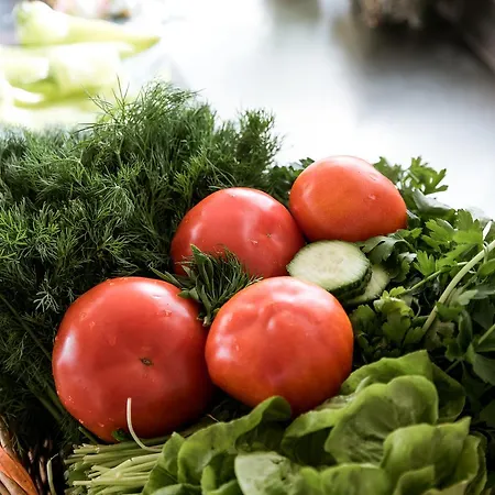 Madalenas 住宿加早餐酒店 佩雷卡斯