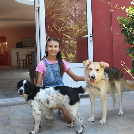 Madalenas *
