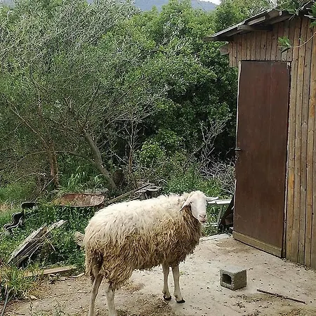 Alojamento de Acomodação e Pequeno-almoço Madalenas *