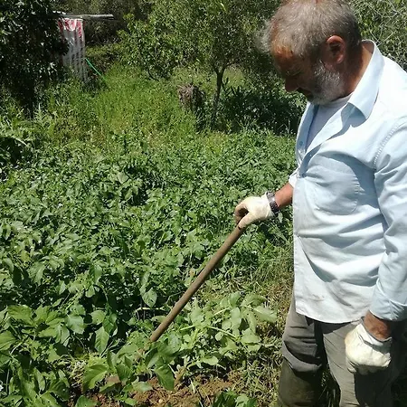 Madalenas Alojamento de Acomodação e Pequeno-almoço *