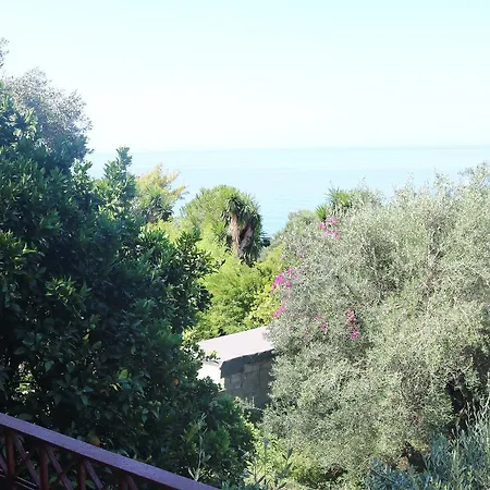 Madalenas * Πέλεκας