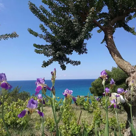 Madalenas Bed & Breakfast *